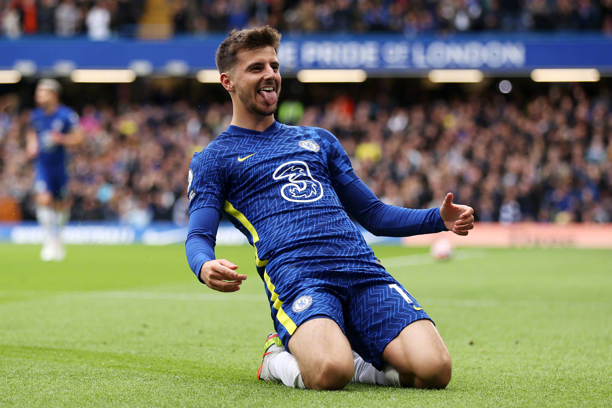 不再是稀罕 不再是稀罕